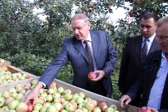 Олександр Любович: «На Дніпропетровщині впроваджується система імпортозаміщення закордонних фруктів якісними екологічно чистими» (фото)