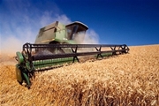 Дніпропетровщина є одним із найактивніших учасників державної форвардної програми з закупівлі зерна