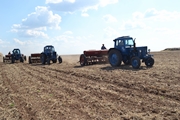На Дніпропетровщині вже посіяно 60% від запланованої кількості ранніх зернових