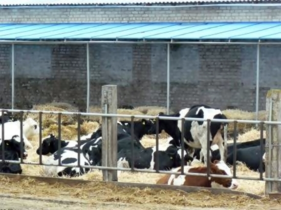 На Дніпропетровщині відкрита перша в Україні сучасна інноваційна демонстраційна молочна ферма сімейного типу